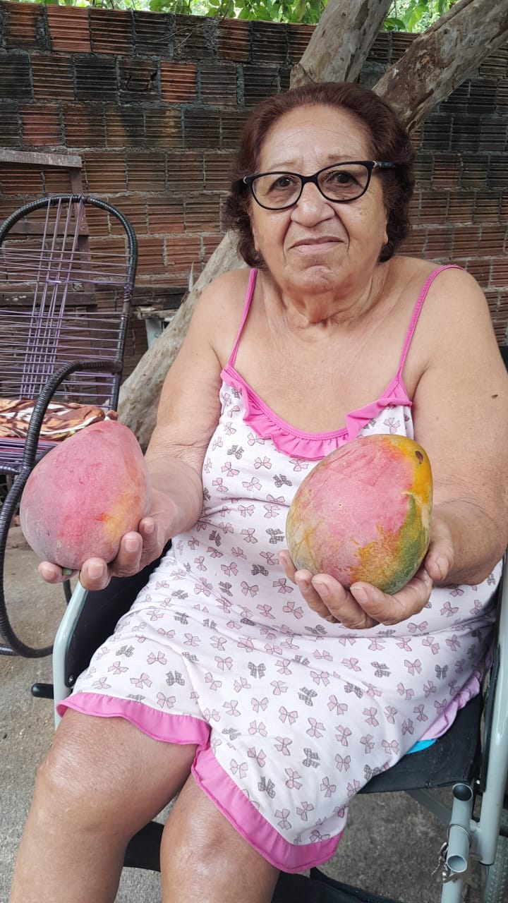— Dona Lídia,